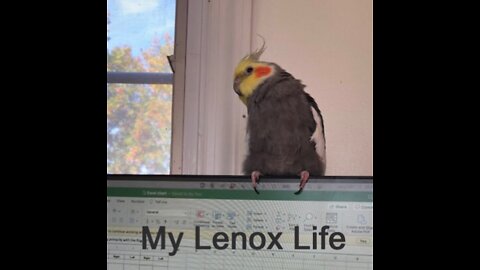10.12.22 Take Your Bird To Work Day, by Lenox