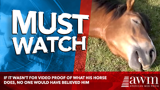 If It Wasn’t For Video Proof Of What His Horse Does, No One Would Have Believed Him