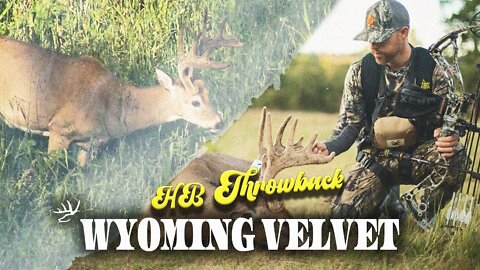 HANG & HUNT For Wyoming Velvet Bucks! (FOOD SOURCES)