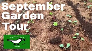 Late September Garden Tour | A Look at some Deer Hunting Stands & Food Plots