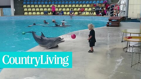 Adorable Toddler Plays Fetch with a Delightful Dolphin Pal 🌊👶🐬