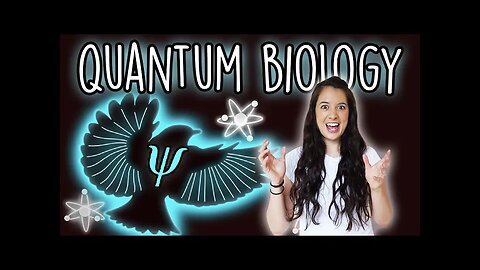 Quantum Biology [Part 3] - How Birds (Might) Navigate With Quantum Mechanics