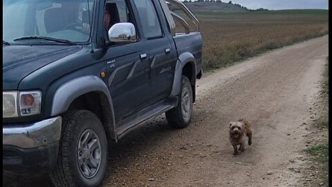 ONE OF THE CUTEST MOMENTS ALONG CAMINO FRANCES