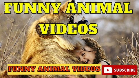 FUNNY ANIMAL VIDEOS EP-3