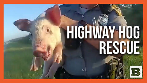 Police Chase and Capture HIGHWAY HOG on Side of Road
