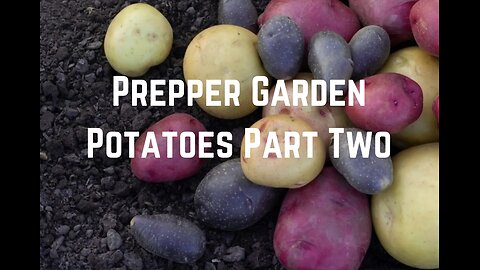 Prepper Garden: Grow Potatoes Part Two