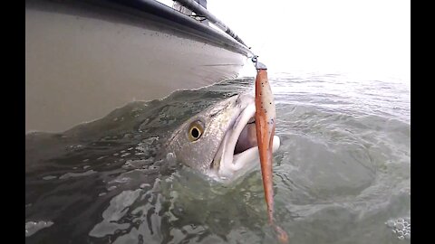 Winching Redfish on the EastCape Gladesman Skiff || Fishing Rockport Texas