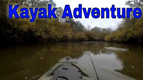 Kayak Adventure at Lake Banjo