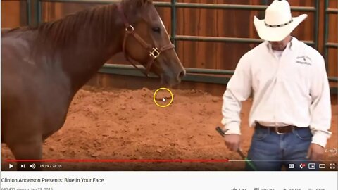 Discussion About Working With a Dangerous Horse: Clinton Anderson - Blue In Your Face - 1