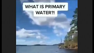 What do you know about PRIMARY WATER? - HaloNews