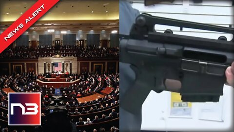 WATCH: Dems CHEER As They Come After Your Rifles With NASTY New Move