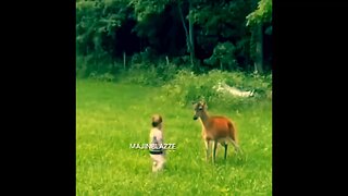 Kid plays with deer