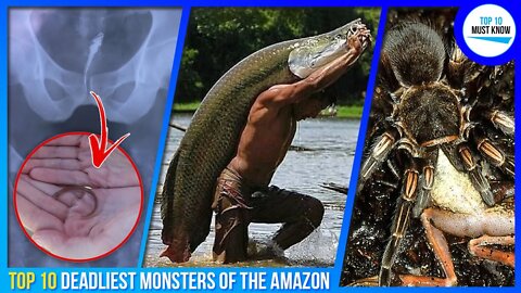 Top 10 Deadliest Monsters of The Amazon