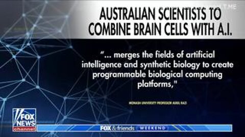 WEF-Controlled Australia To Merge Human Brain Cells With AI