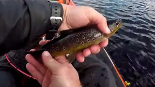 Beautiful Scenery - Kayak Fishing - Brown Trout