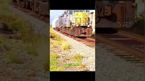 Dog narrowly escapes being crushed by train #dog #viral #shorts #trending