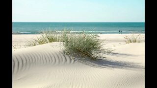 WOW! 🙀 My Entire Dune restored by FEMA in 1 video! 🚜 🌊🏝