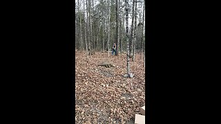 winter wood gathering and clean up