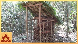 Primitive Technology- Wood shed and Native bee honey