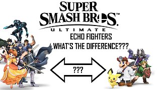 Just what ARE Echo Fighters? - Super Smash Bros. Ultimate (Analysis)