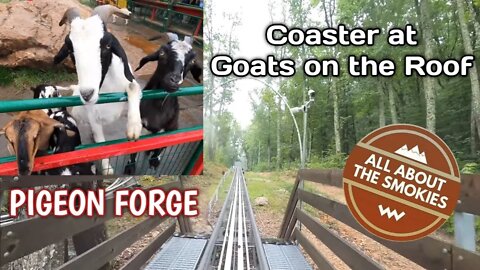 Coaster at Goats on the Roof - Pigeon Forge TN