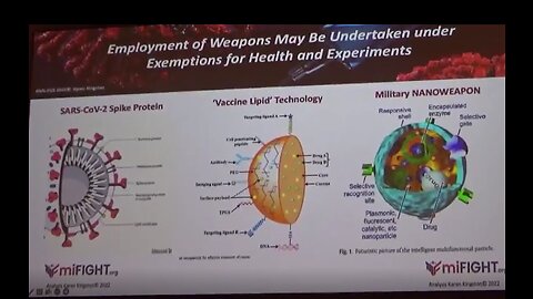 Karen Kingston Presents DARPA's Ties To Injected Bioweapon with Evidence - 12-12-22