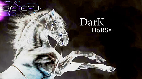 Dark Horse and the Witness