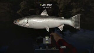 Russian Fishing 4 Kuori lake Lake Trout 2.277 Kg