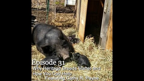 S1E31 Why Heritage Breeds Matter and How You Can Help w/guest Cathy R. Payne