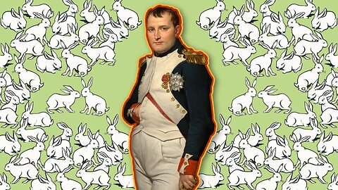 Napoleon Was Once Attacked By Bunnies