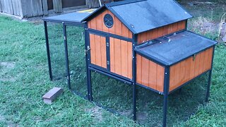 assemble a new chicken coop