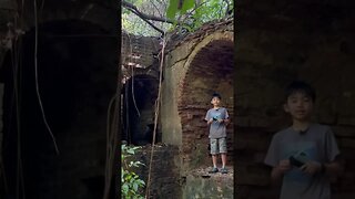 Exploring Jungle Ruins