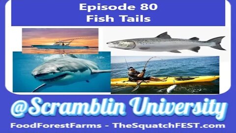 @Scramblin University - Episode 80 - Fish Tails