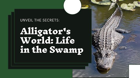 Secrets of the Swamp 🐊Unveiling the Alligator’s World 🌎