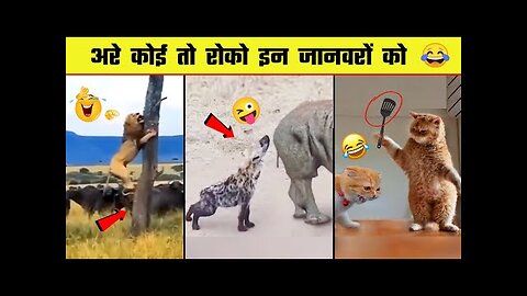 🤣😜 इन जानवरों से पंगा ना बाबा ना | Funny Animal Videos 2023