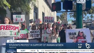 Encinitas Iran Protest organized by local student