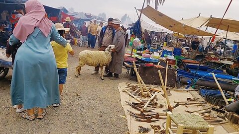 عندنا الزهر فهار الخريجة الجو كان مبرررد/روتيني ليوما غايعجبكم