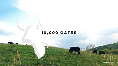 10,000 Gates: Tales of the Modern-Day Cattlemen