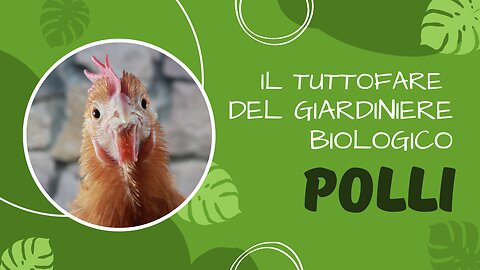 Polli - Il tuttofare del giardiniere biologico