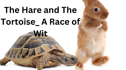 The Hare and The Tortoise_ A Race of Wit