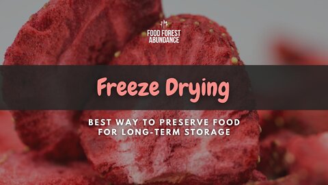 Best way to preserve food for long term storage: Freeze drying