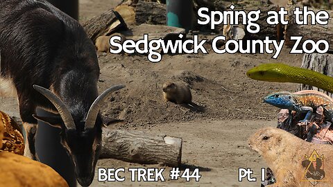 Where are the GOATS?! | Sedgwick County Zoo | BEC TREK Episode 44 (Pt1)