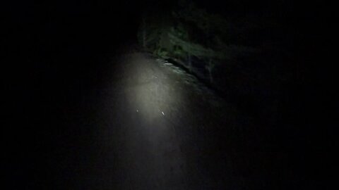 Cycling night time at forest training path 4.1.2020