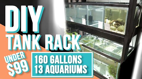 DIY Fish Tank Rack Under $99!