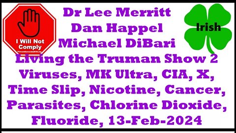 LIVING THE TRUMAN SHOW with Dr. Lee Merritt - Part 2 13-Feb-2024