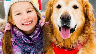 Holiday Gift Guide: 3 Winter Outfits for Dogs