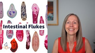 Intestinal Flukes