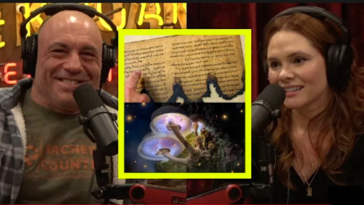 Joe Rogan Sponge Secret Joe Rogan The SECRET Meaning Behind Christ In The John Marco Allegro ...