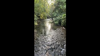 Enjoying a summer walk.