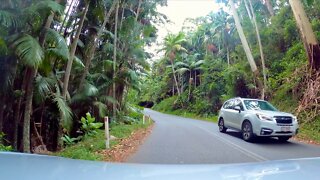 Driving Up Mount Tamborine || Gold Coast Hinterland